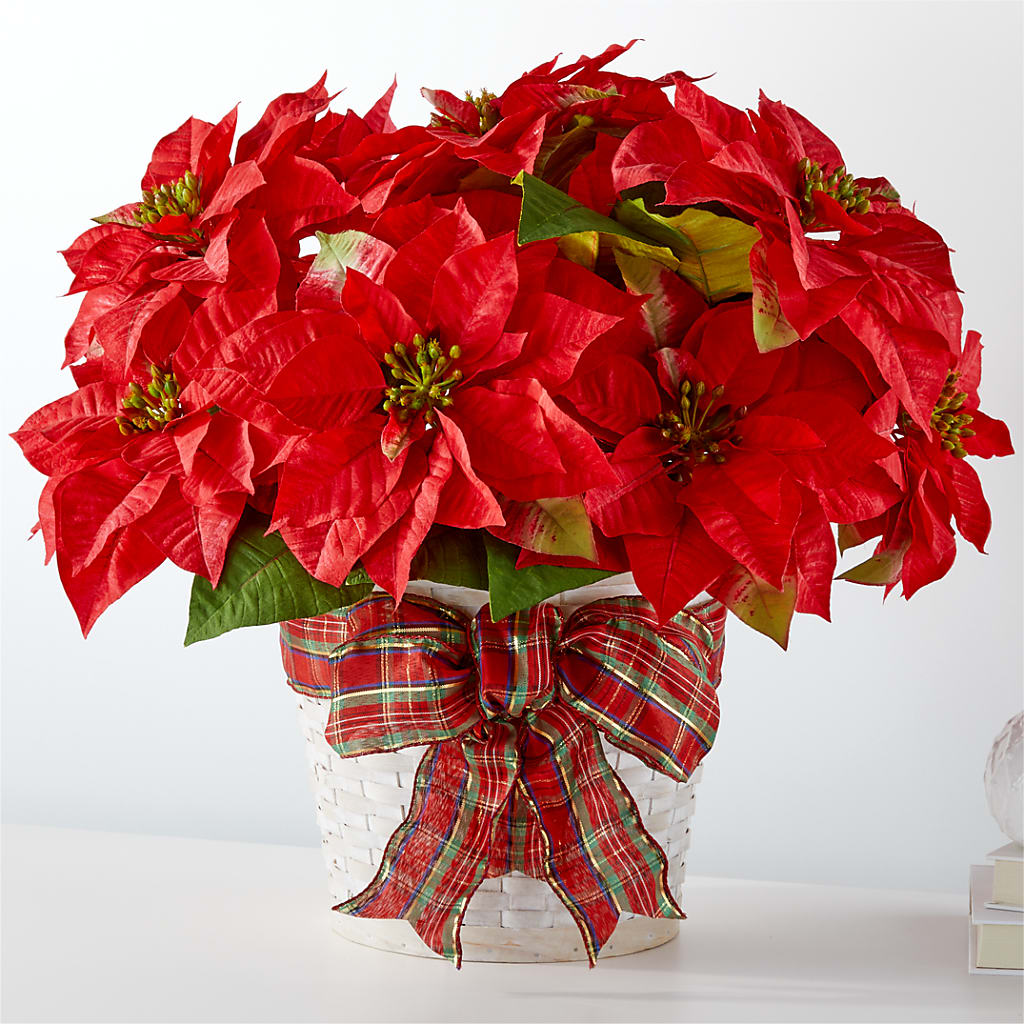 Happiest Holidays Poinsettia – FORGET-ME-NOT FLOWERS & GIFTS, Jacksonville NC