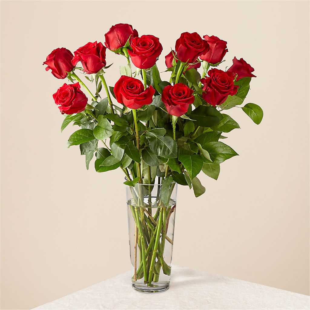 Long Stem Red Rose Bouquet – FORGET-ME-NOT FLOWERS & GIFTS, Jacksonville NC