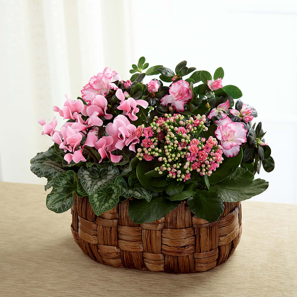 Pink Assortment – FORGET-ME-NOT FLOWERS & GIFTS, Jacksonville NC
