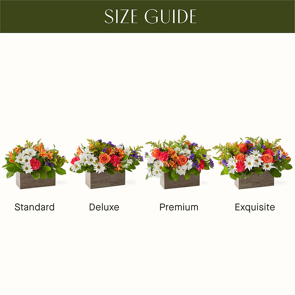 Oopsie Daisy Box Bouquet – FORGET-ME-NOT FLOWERS & GIFTS, Jacksonville NC