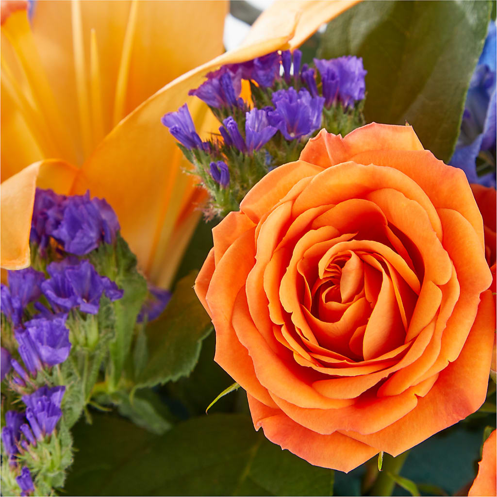 Radiant Citrus Box Bouquet – FORGET-ME-NOT FLOWERS & GIFTS, Jacksonville NC