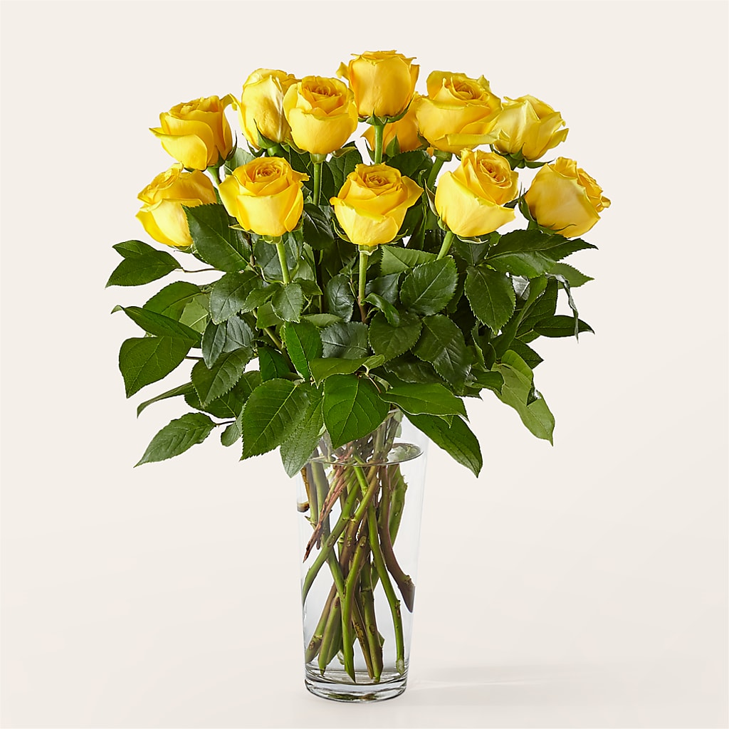 Long Stem Yellow Rose Bouquet – FORGET-ME-NOT FLOWERS & GIFTS, Jacksonville NC
