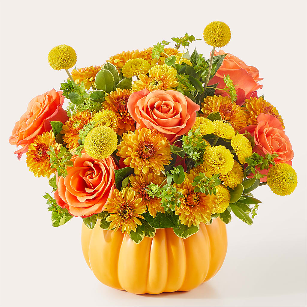 Gourdgeous Pumpkin – FORGET-ME-NOT FLOWERS & GIFTS, Jacksonville NC