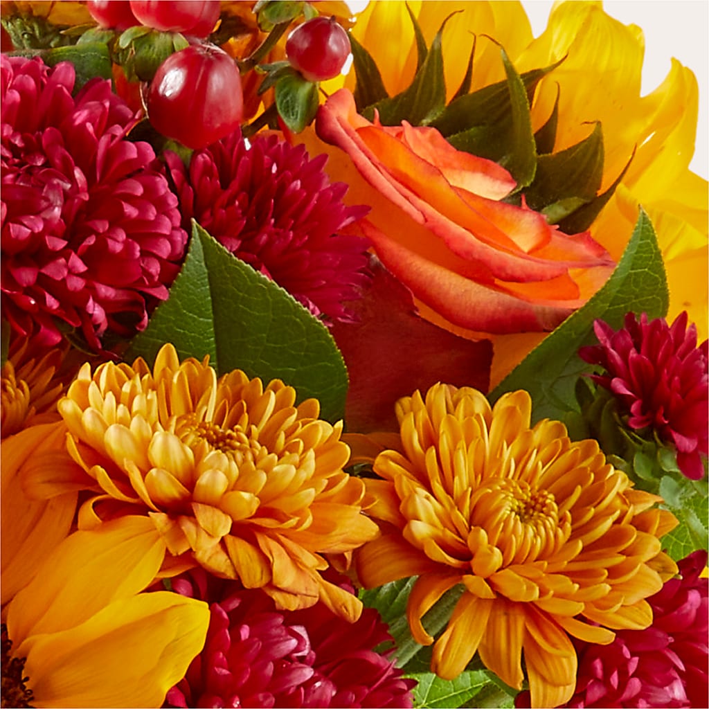 Sweater Season - A Florist Original – FORGET-ME-NOT FLOWERS & GIFTS, Jacksonville NC