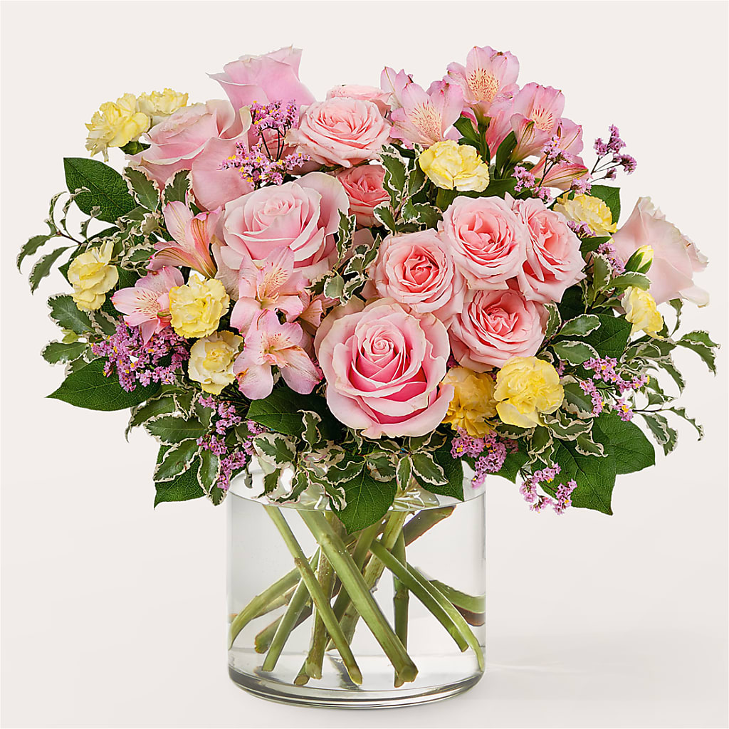 Refreshed Bouquet – FORGET-ME-NOT FLOWERS & GIFTS, Jacksonville NC