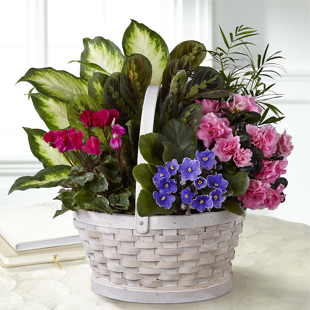 Peaceful Garden Planter – FORGET-ME-NOT FLOWERS & GIFTS, Jacksonville NC