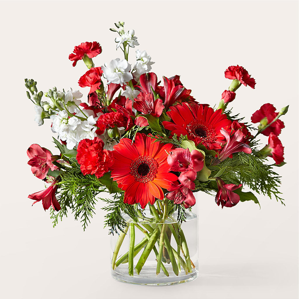 Holidaisy Bouquet – FORGET-ME-NOT FLOWERS & GIFTS, Jacksonville NC