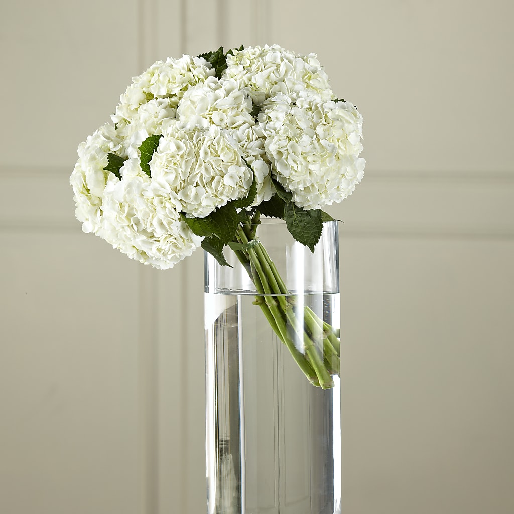White Hydrangea Hand-Tied Bouquet – FORGET-ME-NOT FLOWERS & GIFTS, Jacksonville NC