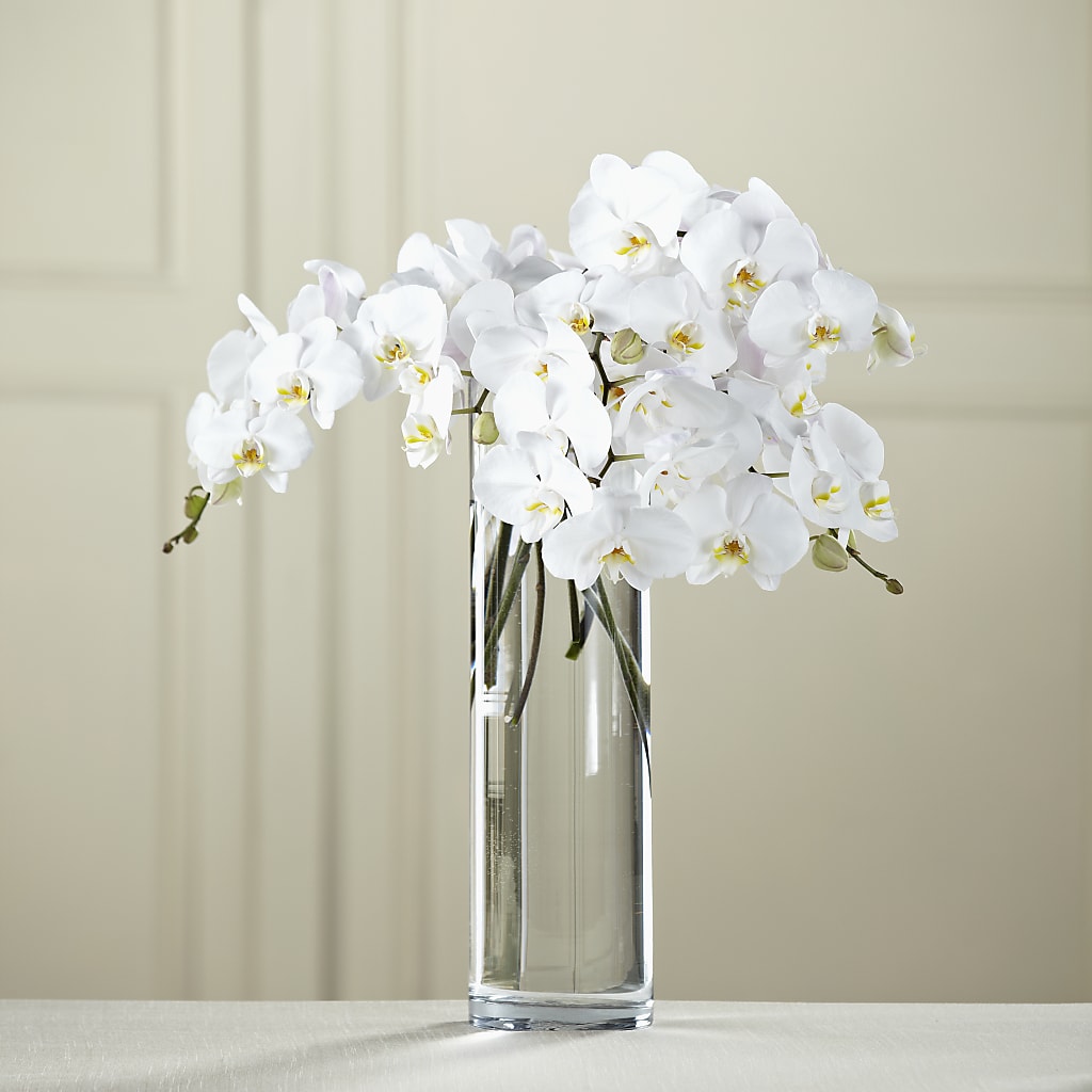 White Phalaenopsis Bouquet – FORGET-ME-NOT FLOWERS & GIFTS, Jacksonville NC
