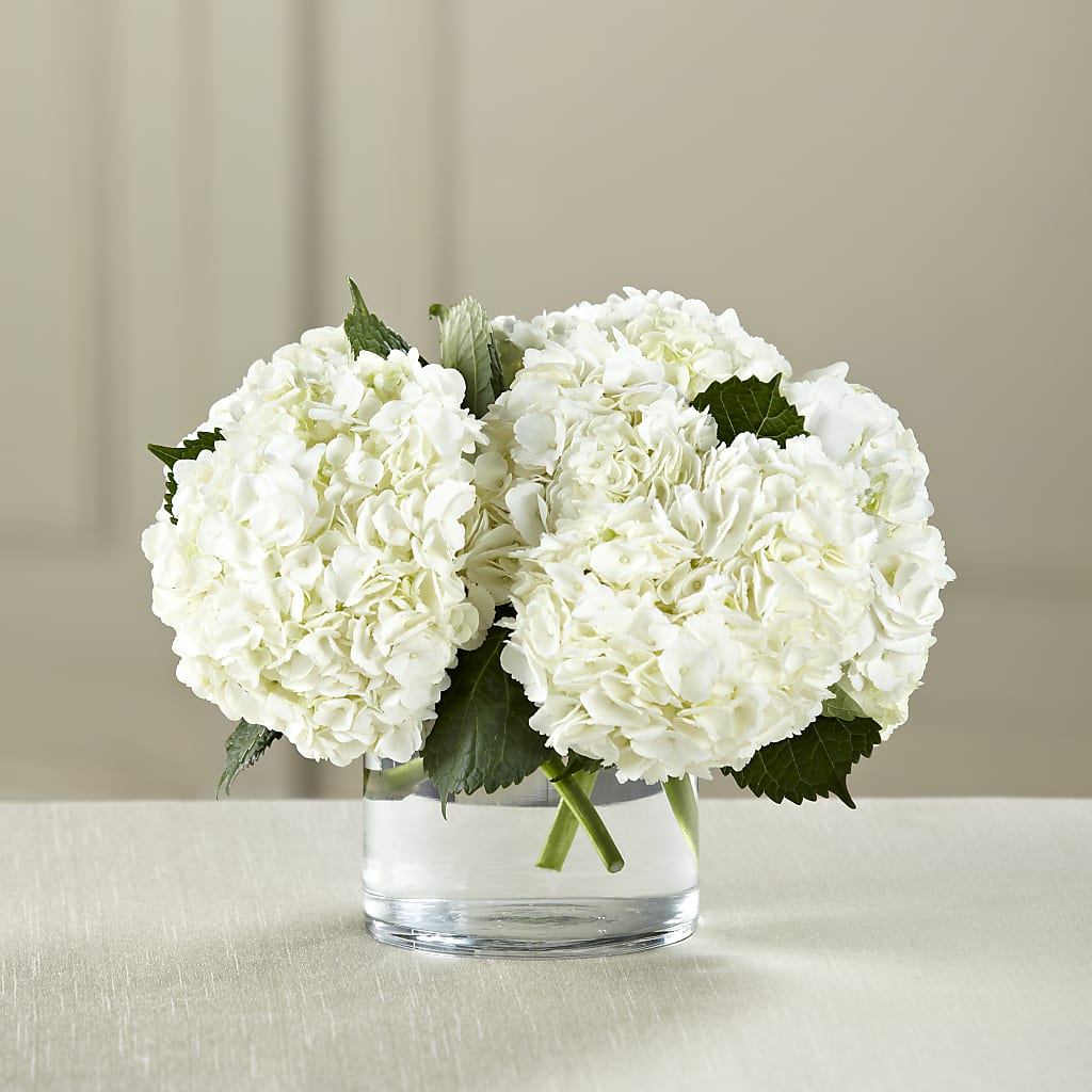 White Hydrangea Bouquet – FORGET-ME-NOT FLOWERS & GIFTS, Jacksonville NC