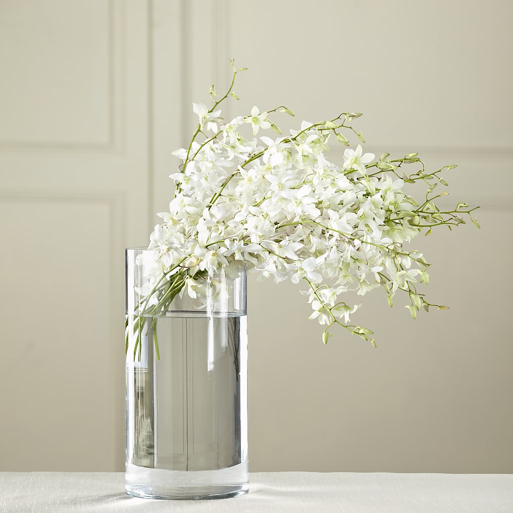 White Dendrobium Bouquet – FORGET-ME-NOT FLOWERS & GIFTS, Jacksonville NC