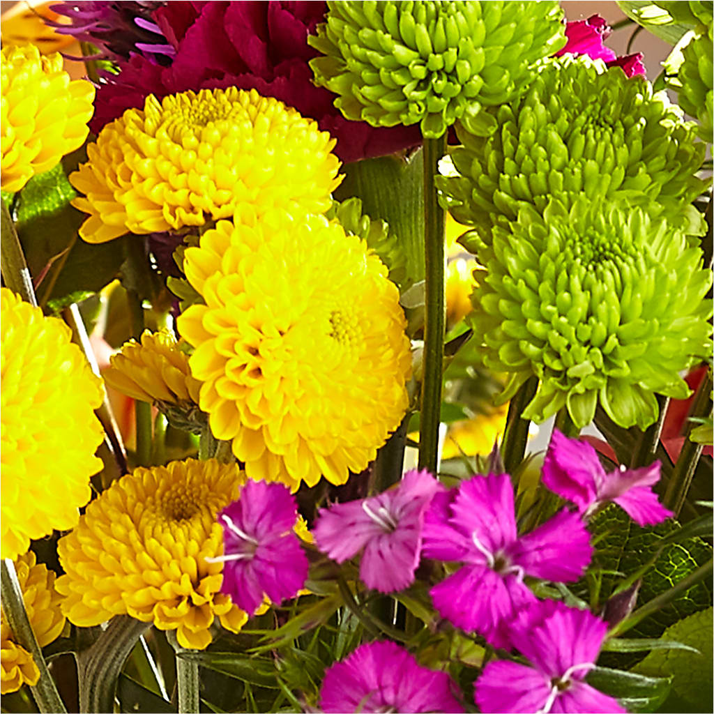 Bold & Bright – A Florist Original – FORGET-ME-NOT FLOWERS & GIFTS, Jacksonville NC