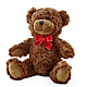 Adorable Plush Bear – FORGET-ME-NOT FLOWERS & GIFTS, Jacksonville NC