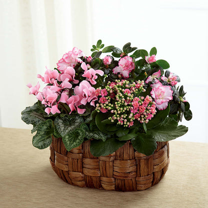 Pink Assortment – FORGET-ME-NOT FLOWERS & GIFTS, Jacksonville NC