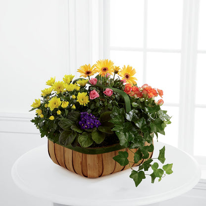 Gentle Blossoms Basket – FORGET-ME-NOT FLOWERS & GIFTS, Jacksonville NC