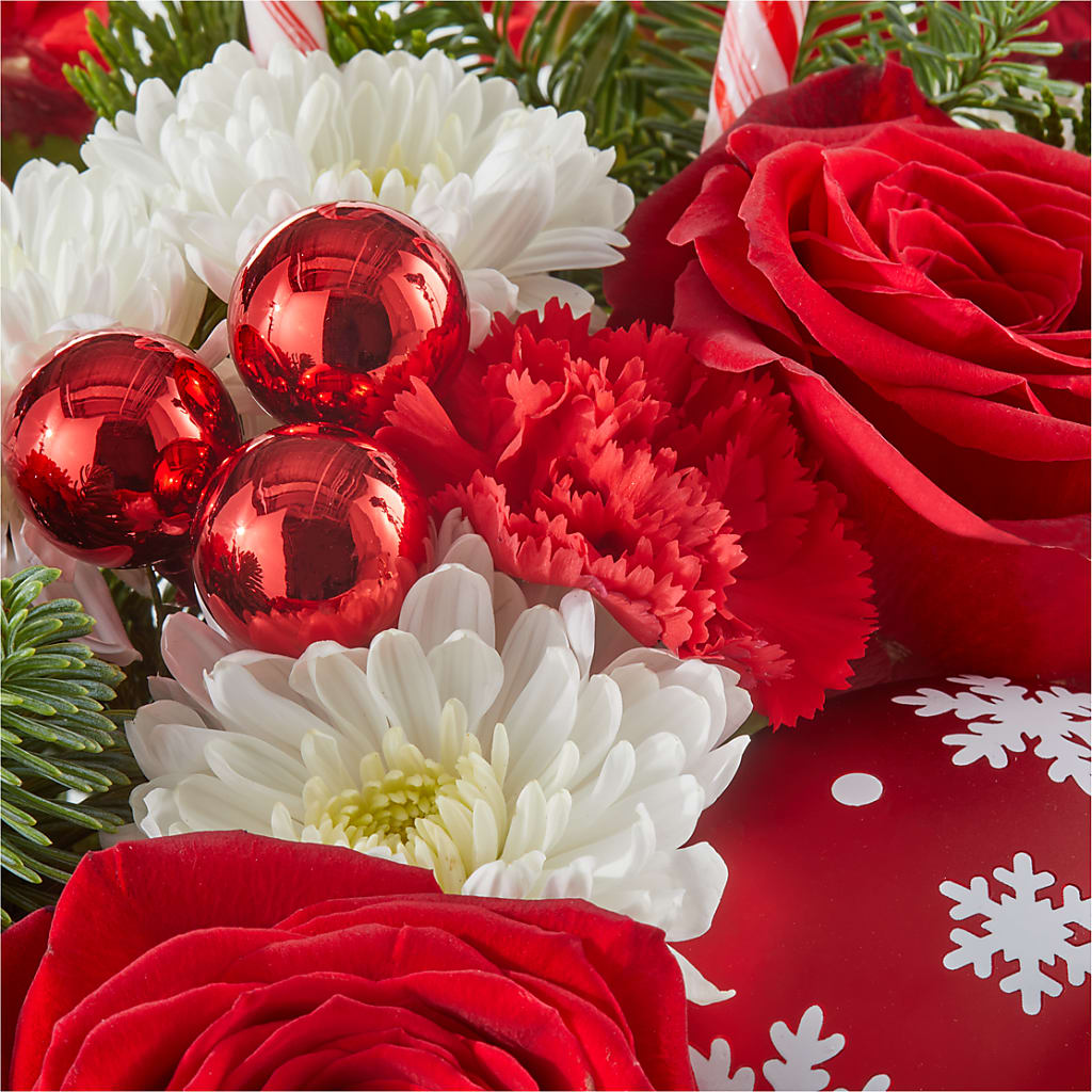 Cheer in the Air Ornament – FORGET-ME-NOT FLOWERS & GIFTS, Jacksonville NC
