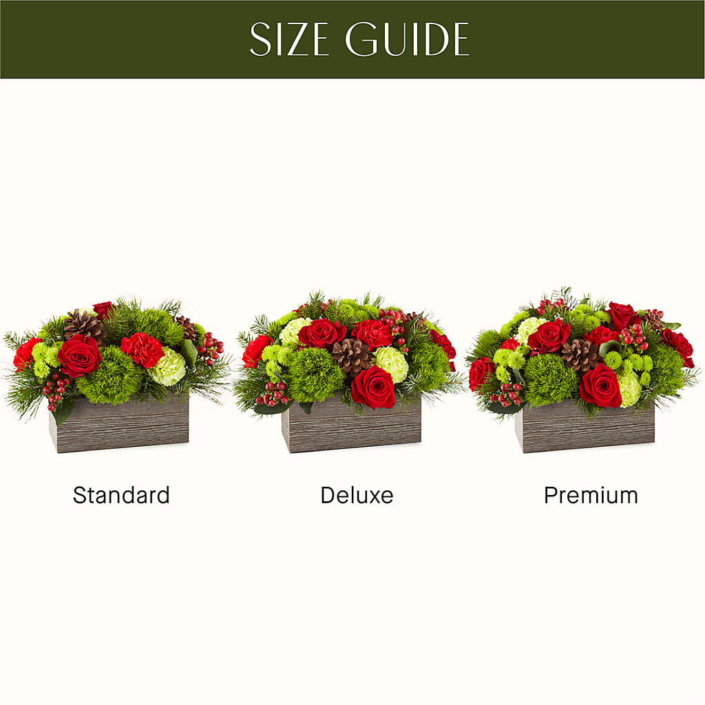 Bundled Up Bouquet – FORGET-ME-NOT FLOWERS & GIFTS, Jacksonville NC