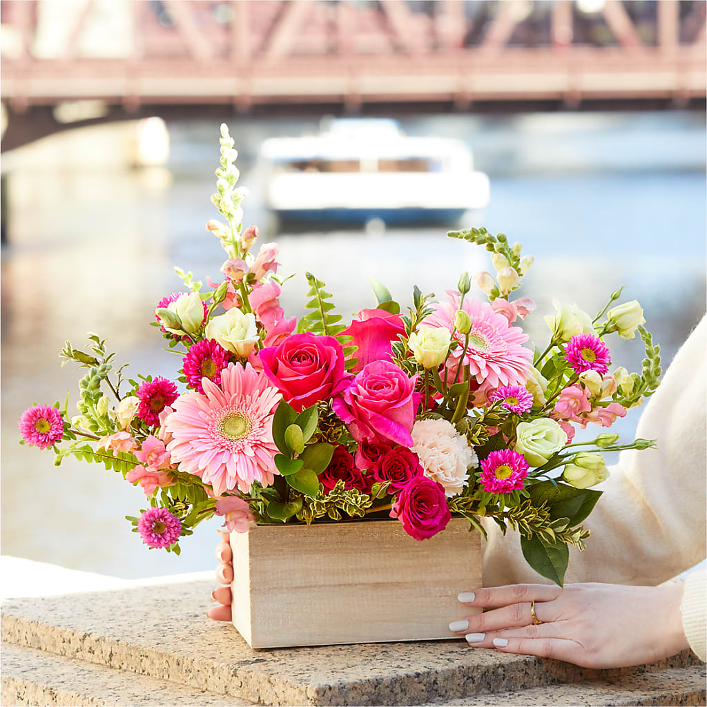 Too Cute Bouquet – FORGET-ME-NOT FLOWERS & GIFTS, Jacksonville NC