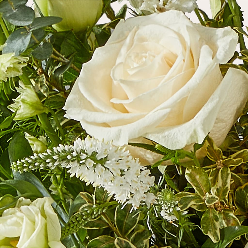 Cashmere Bouquet – FORGET-ME-NOT FLOWERS & GIFTS, Jacksonville NC