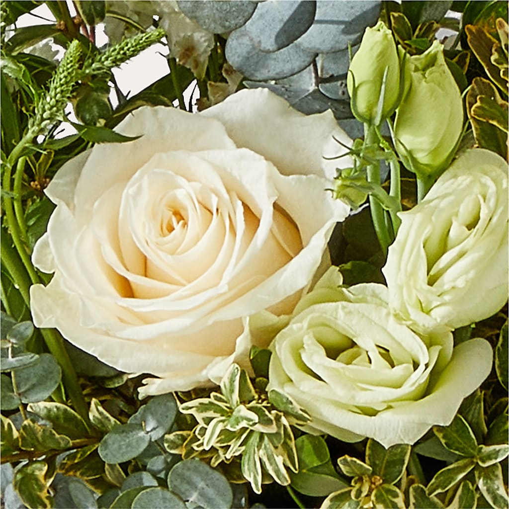 Cashmere Bouquet – FORGET-ME-NOT FLOWERS & GIFTS, Jacksonville NC