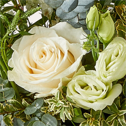Cashmere Bouquet – FORGET-ME-NOT FLOWERS & GIFTS, Jacksonville NC