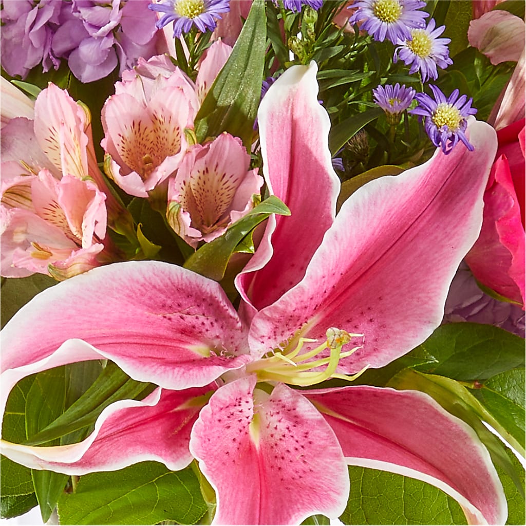 Written in the Stars Bouquet – FORGET-ME-NOT FLOWERS & GIFTS, Jacksonville NC