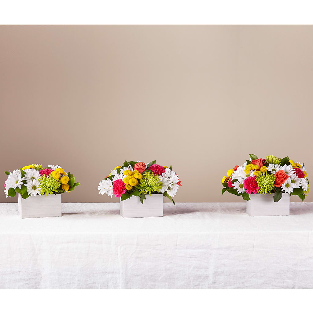 Sorbet Bouquet – FORGET-ME-NOT FLOWERS & GIFTS, Jacksonville NC