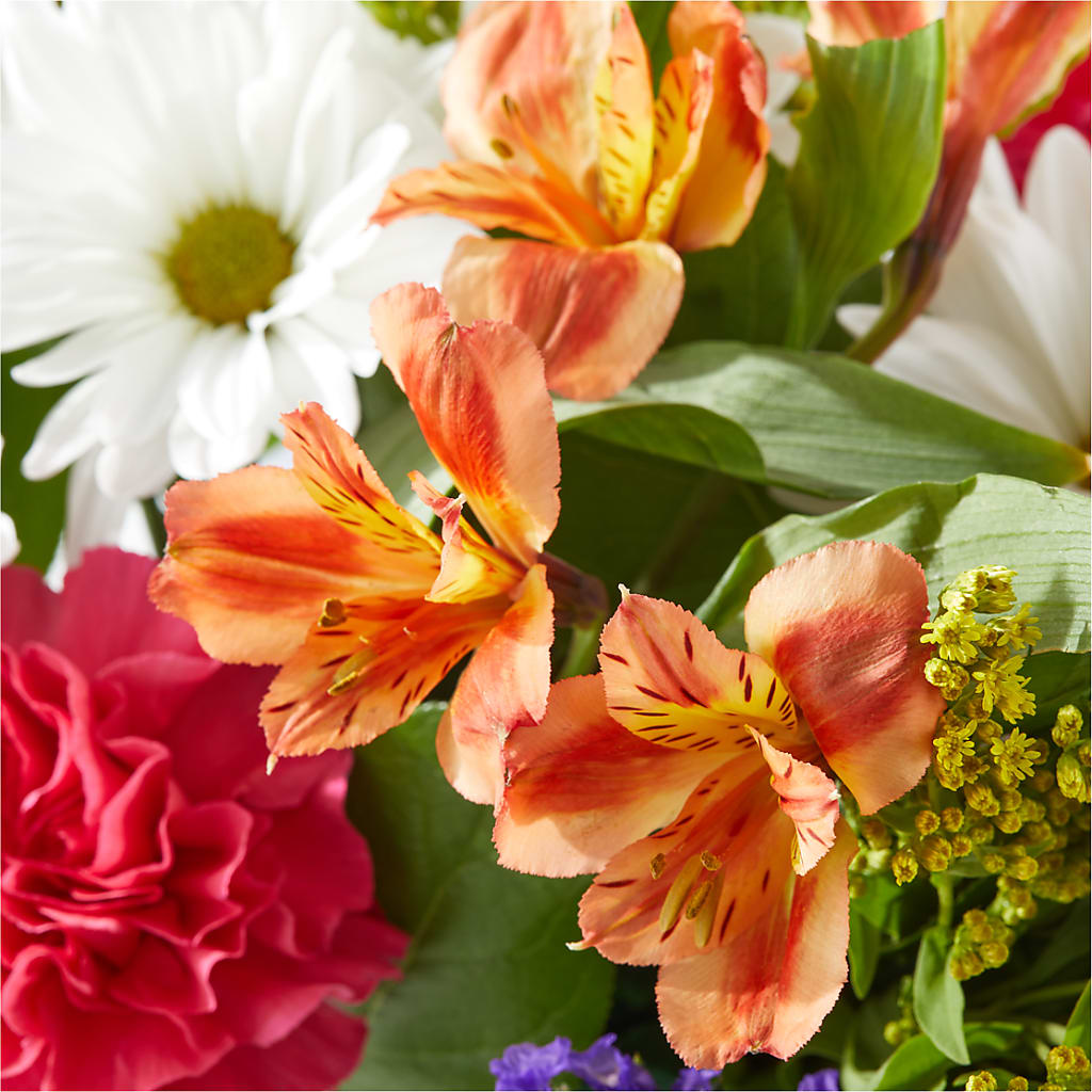 Oopsie Daisy Box Bouquet – FORGET-ME-NOT FLOWERS & GIFTS, Jacksonville NC