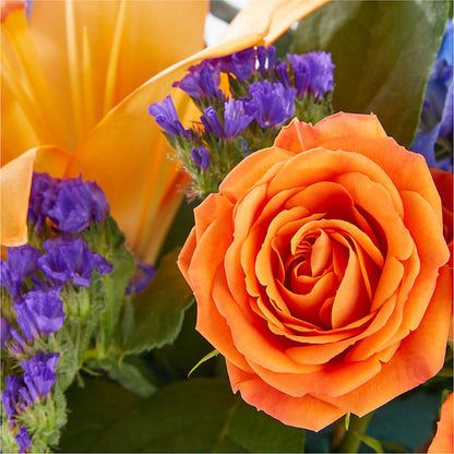 Radiant Citrus Box Bouquet – FORGET-ME-NOT FLOWERS & GIFTS, Jacksonville NC