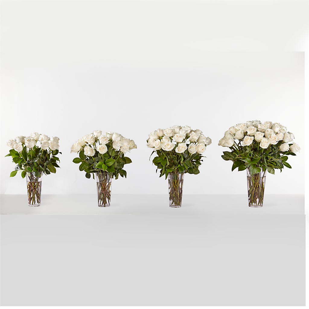 Long Stem White Rose Bouquet – FORGET-ME-NOT FLOWERS & GIFTS, Jacksonville NC