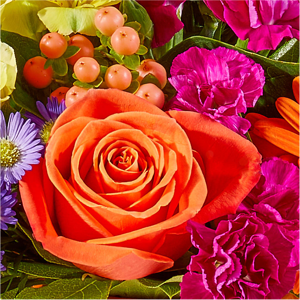 Tricks & Treats Pumpkin – FORGET-ME-NOT FLOWERS & GIFTS, Jacksonville NC