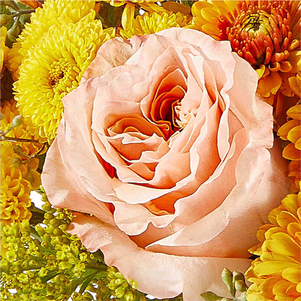 Peachy Pumpkin – FORGET-ME-NOT FLOWERS & GIFTS, Jacksonville NC