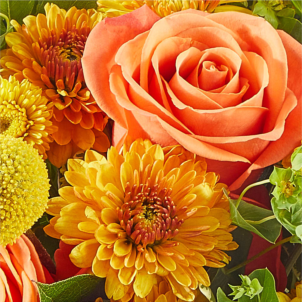 Gourdgeous Pumpkin – FORGET-ME-NOT FLOWERS & GIFTS, Jacksonville NC