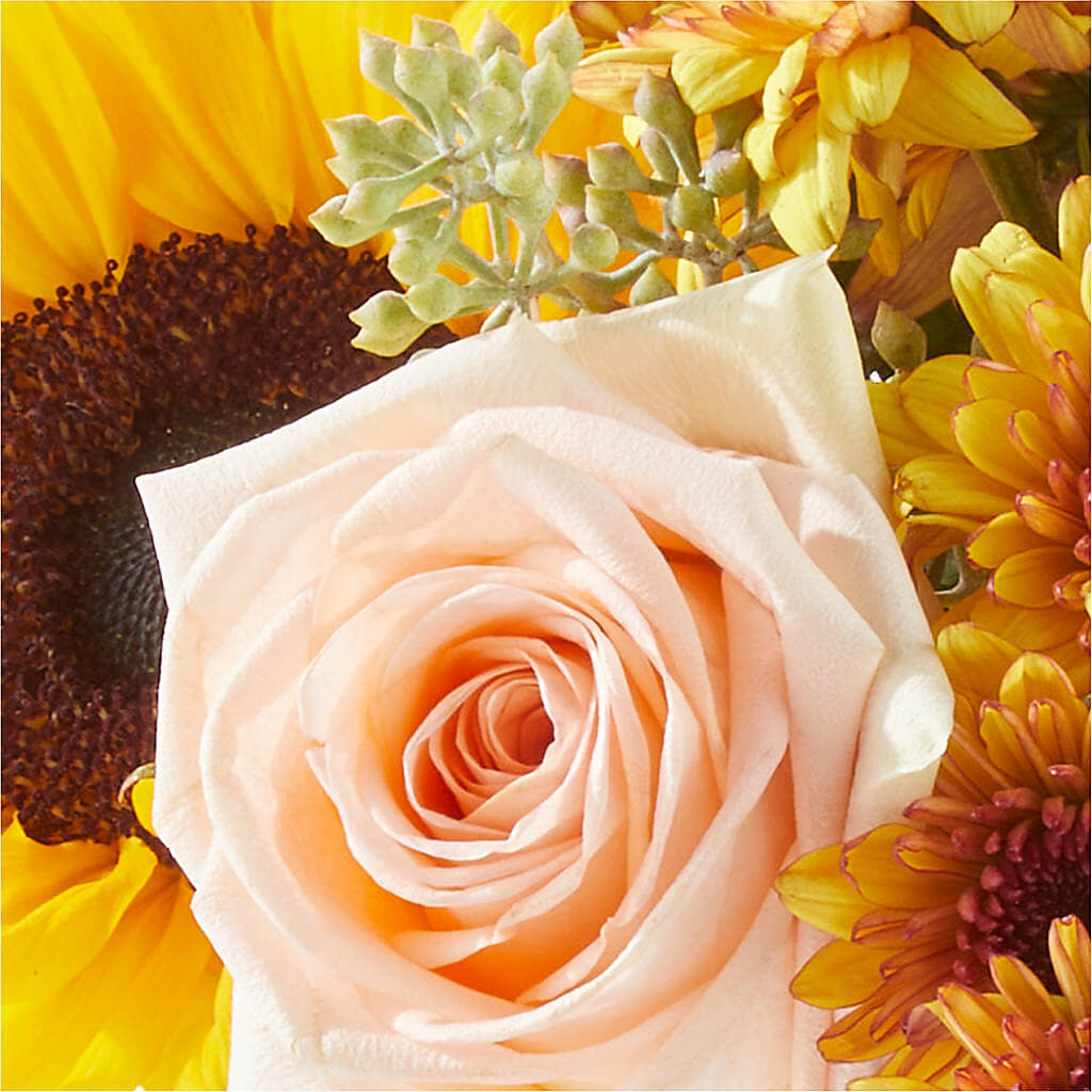 Pumpkin to Talk About Bouquet – FORGET-ME-NOT FLOWERS & GIFTS, Jacksonville NC