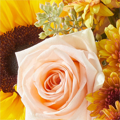 Pumpkin to Talk About Bouquet – FORGET-ME-NOT FLOWERS & GIFTS, Jacksonville NC