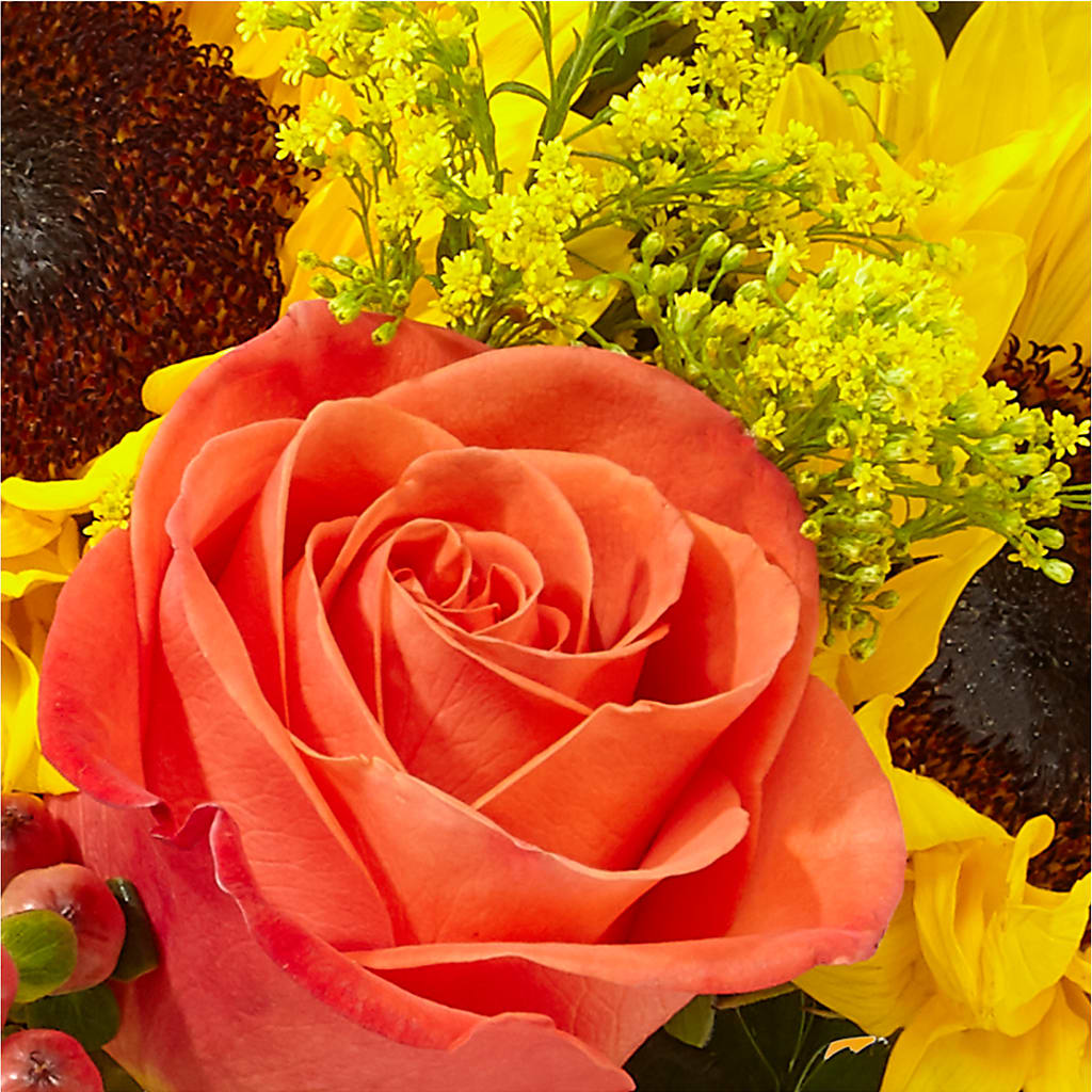 Pick of the Patch Pumpkin Bouquet – FORGET-ME-NOT FLOWERS & GIFTS, Jacksonville NC