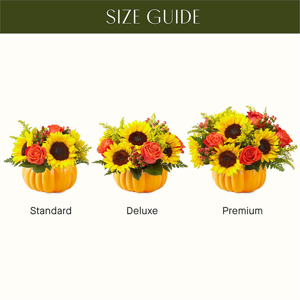 Pick of the Patch Pumpkin Bouquet – FORGET-ME-NOT FLOWERS & GIFTS, Jacksonville NC