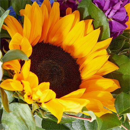 Catching Rays Bouquet – FORGET-ME-NOT FLOWERS & GIFTS, Jacksonville NC