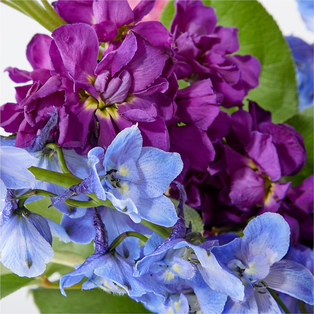 Twilight Glow Bouquet – FORGET-ME-NOT FLOWERS & GIFTS, Jacksonville NC
