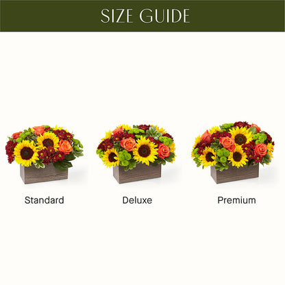 Happy Harvest Garden – FORGET-ME-NOT FLOWERS & GIFTS, Jacksonville NC