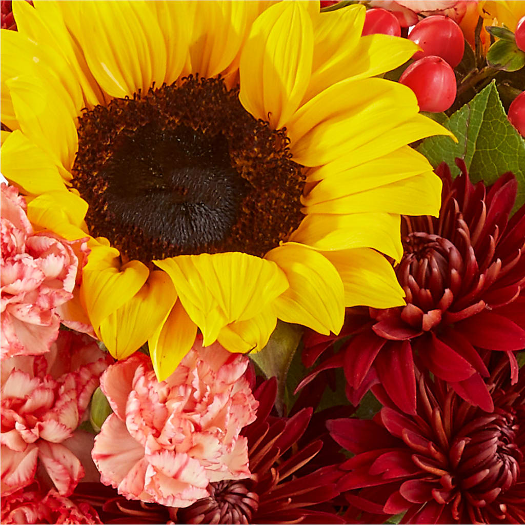 Fresh Cider Bouquet – FORGET-ME-NOT FLOWERS & GIFTS, Jacksonville NC