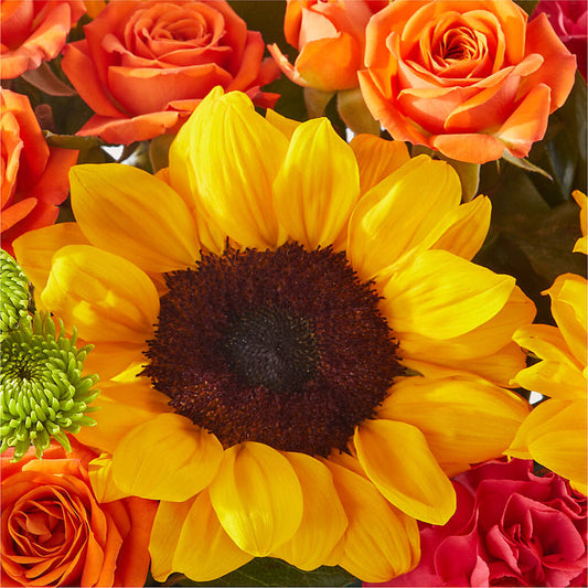 Sun-drenched Blooms Box Bouquet – FORGET-ME-NOT FLOWERS & GIFTS, Jacksonville NC