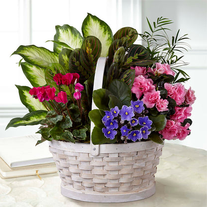 Peaceful Garden Planter – FORGET-ME-NOT FLOWERS & GIFTS, Jacksonville NC