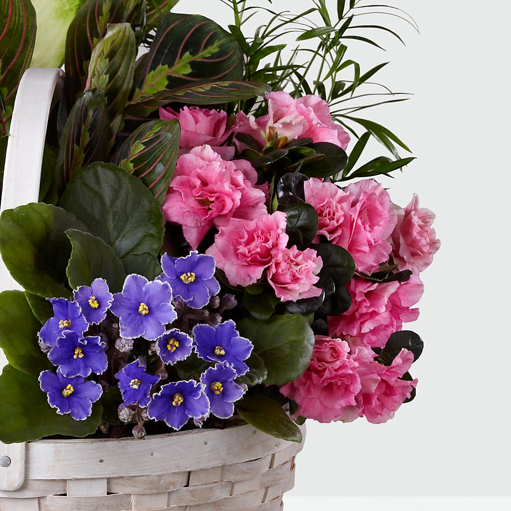 Peaceful Garden Planter – FORGET-ME-NOT FLOWERS & GIFTS, Jacksonville NC