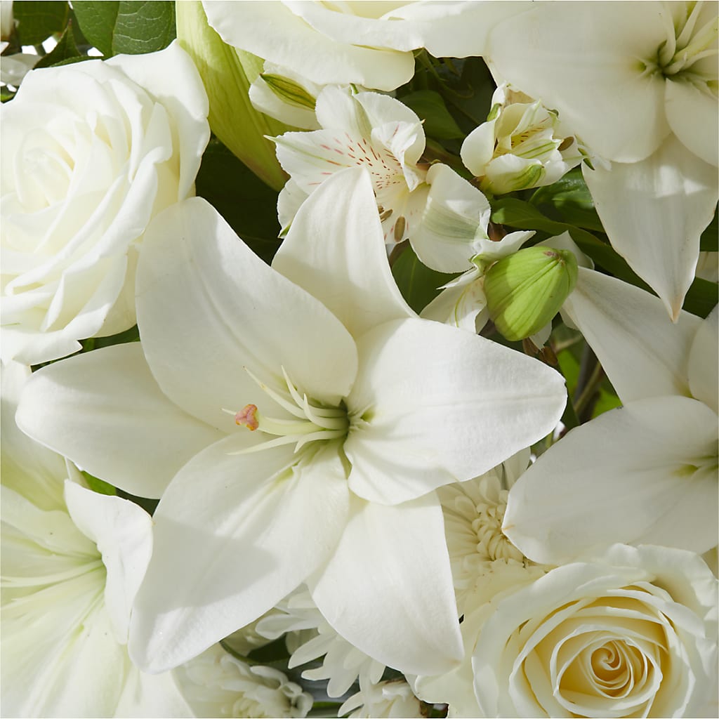 Peaceful Reflections Arrangement – FORGET-ME-NOT FLOWERS & GIFTS, Jacksonville NC