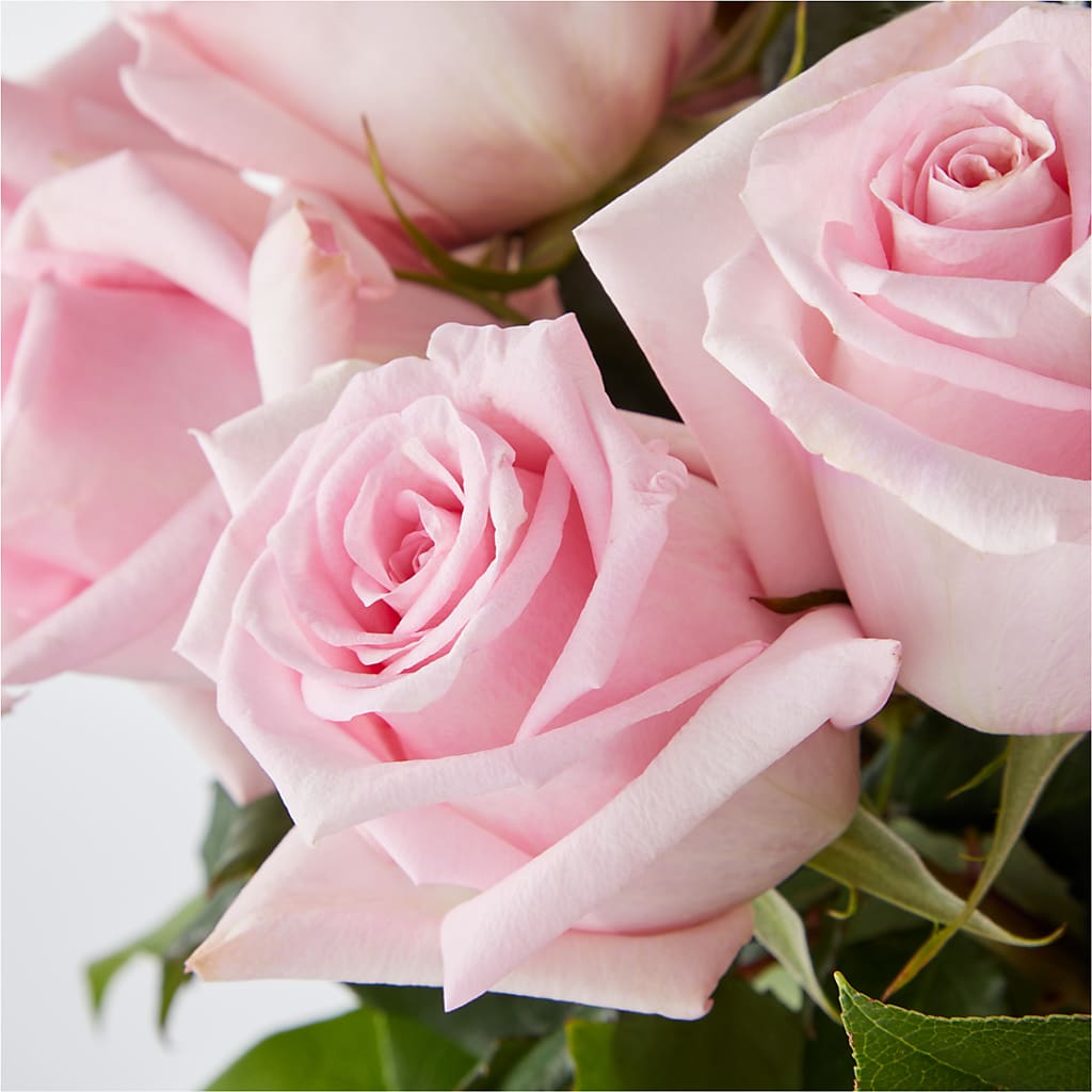Picture Perfect Pink Rose Bouquet – FORGET-ME-NOT FLOWERS & GIFTS, Jacksonville NC