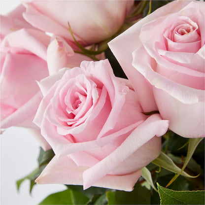 Picture Perfect Pink Rose Bouquet – FORGET-ME-NOT FLOWERS & GIFTS, Jacksonville NC
