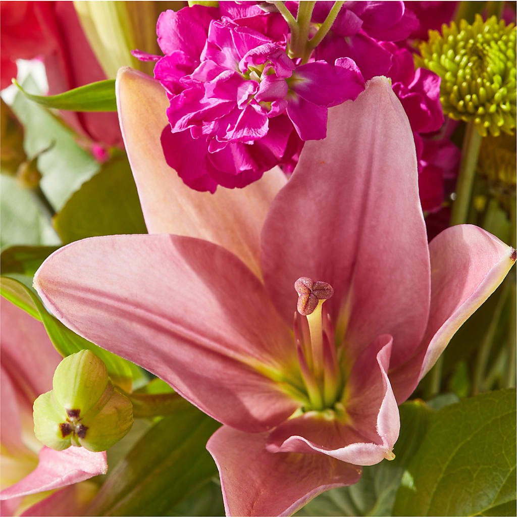 Watermelon Crush Bouquet – FORGET-ME-NOT FLOWERS & GIFTS, Jacksonville NC
