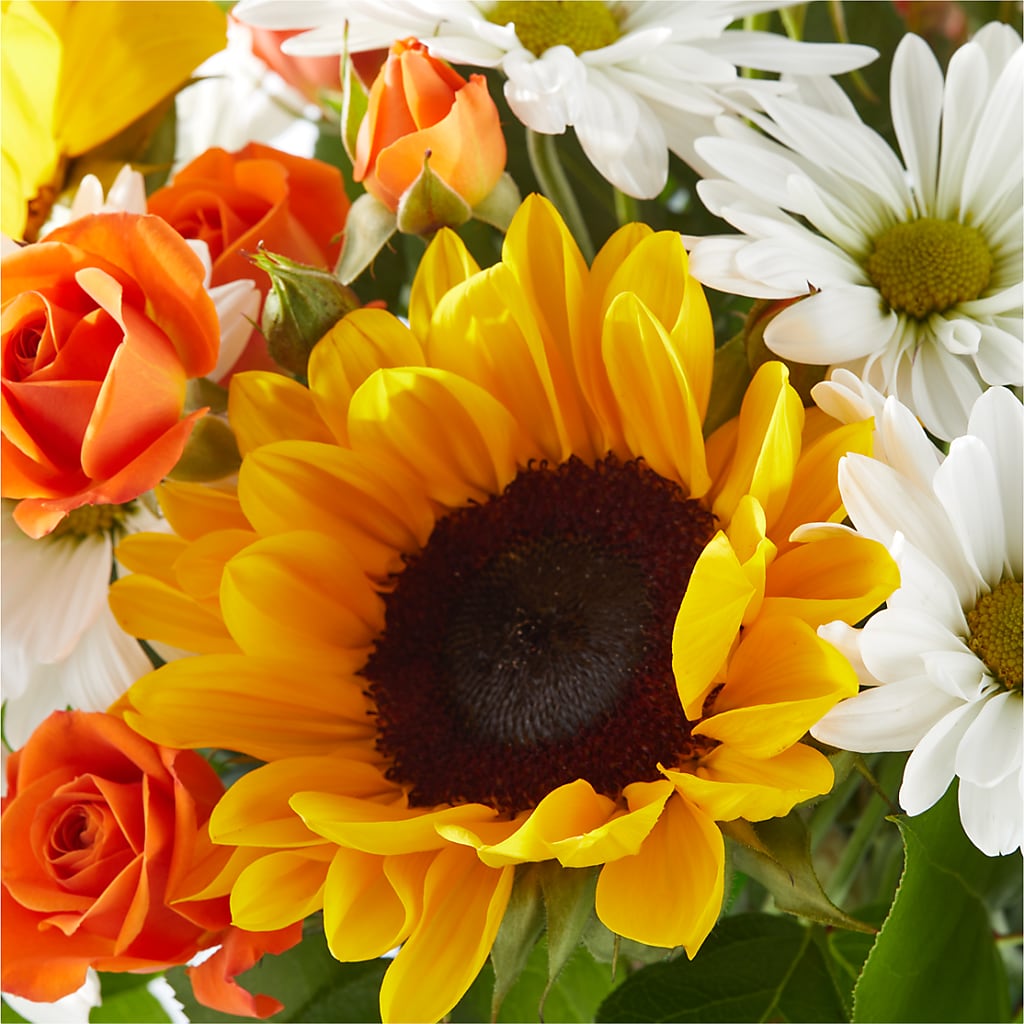 Sun-drenched Blooms Bouquet – FORGET-ME-NOT FLOWERS & GIFTS, Jacksonville NC