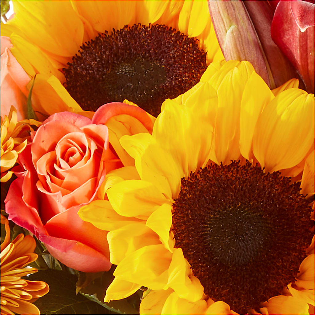 Acorn Lane Bouquet – FORGET-ME-NOT FLOWERS & GIFTS, Jacksonville NC